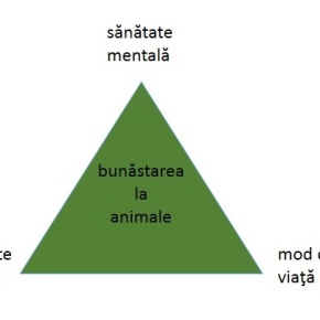Piramida nevoilor